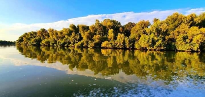 Casa Cu Trandafiri Муругіль Екстер'єр фото